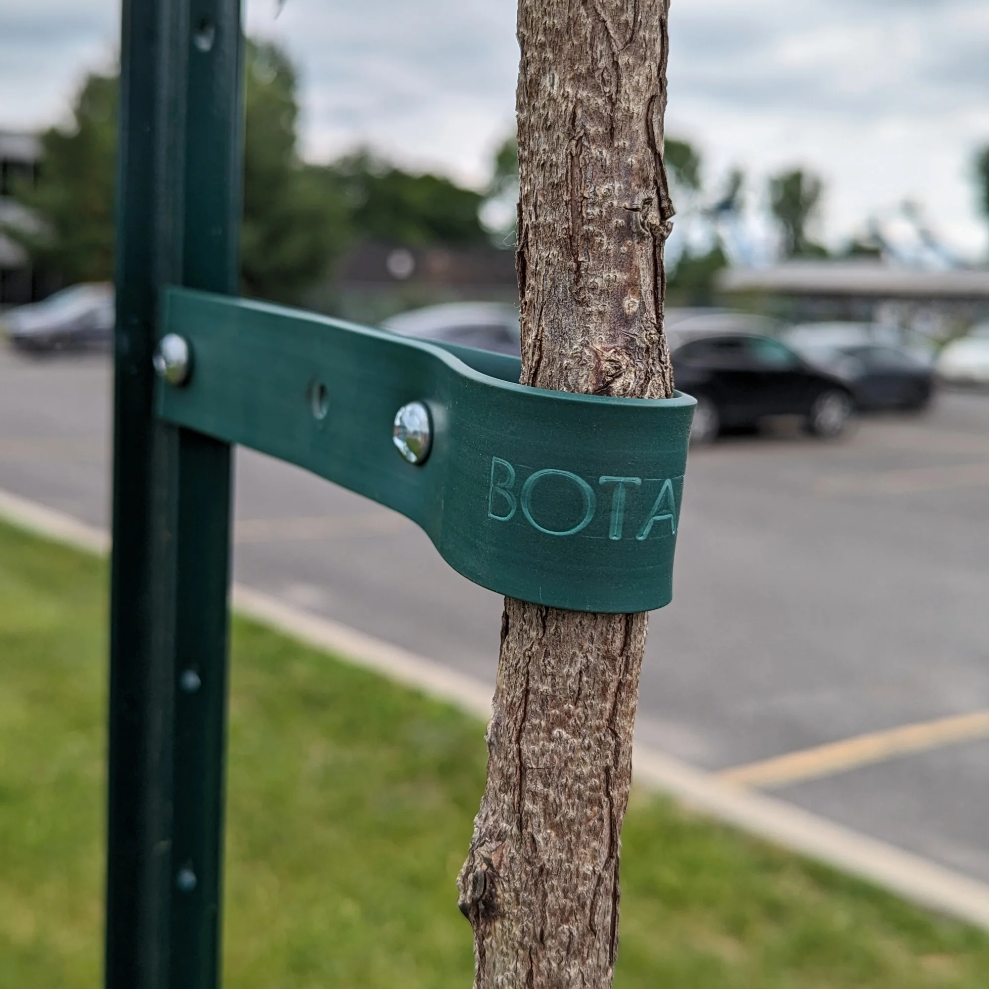 Attache pour tuteur d'arbre (sellette) - Image 3