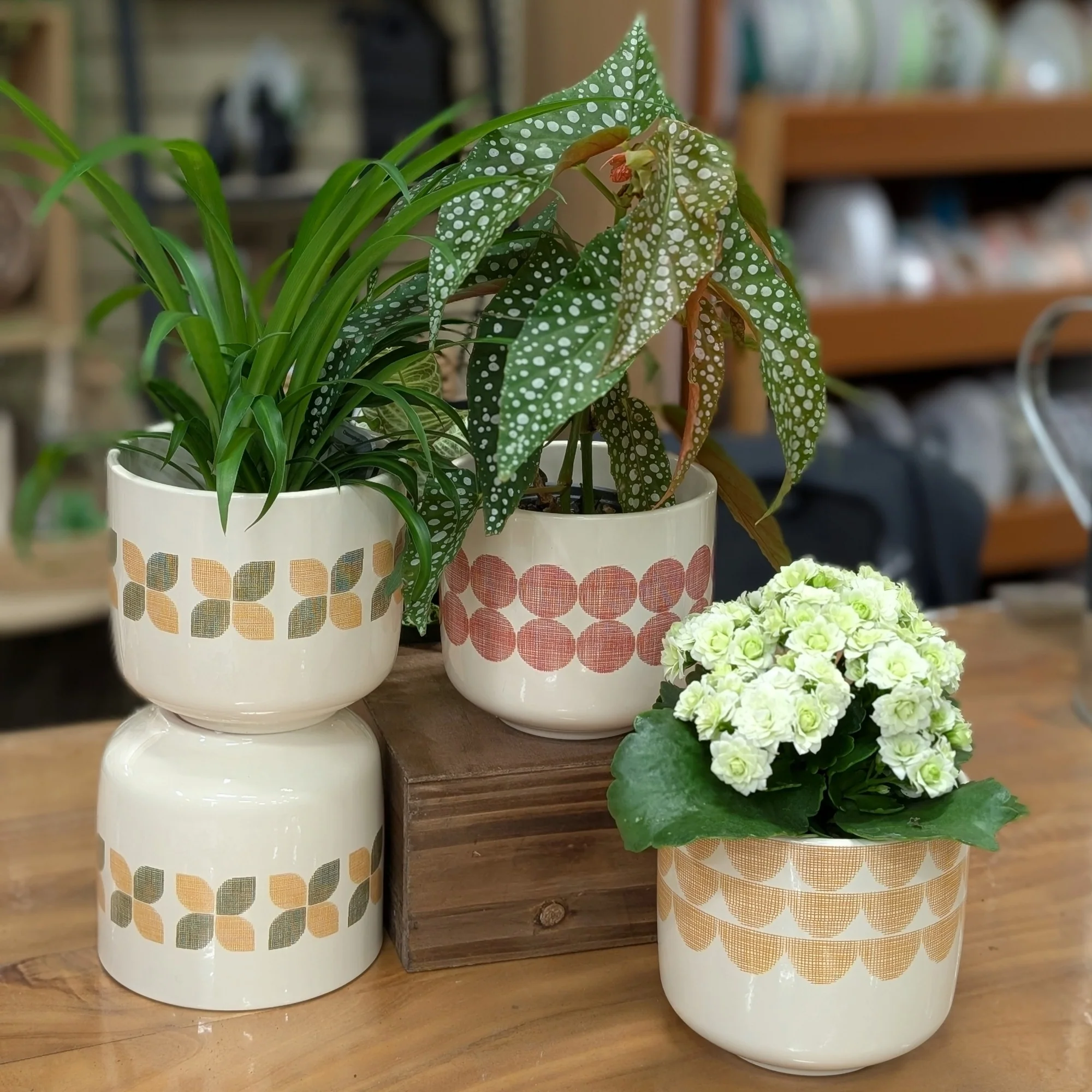 Cache-pot en Céramique Bari - Image 3