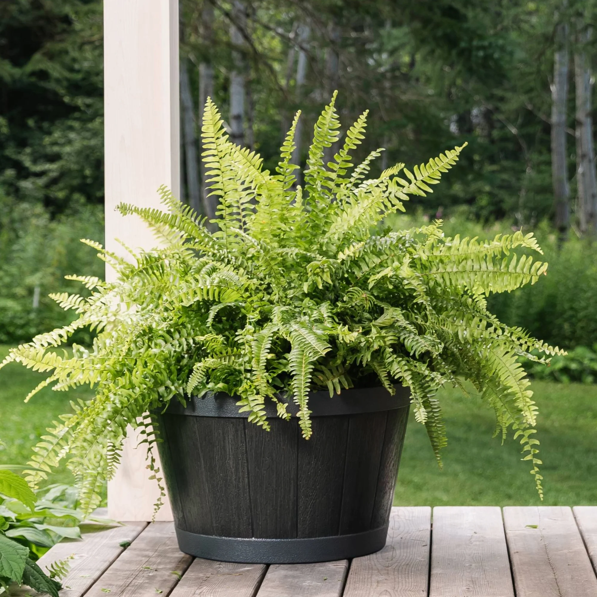 Cache-pot Whisky du Tennessee de Garant - Image 3