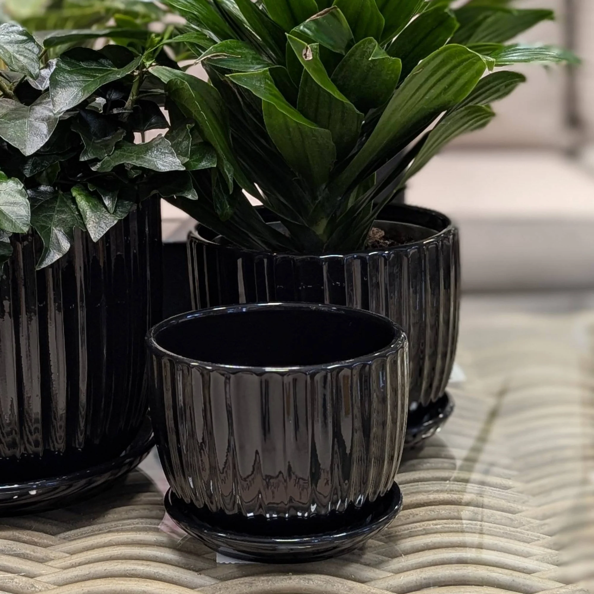 Collection Ruby - Cache-pot en céramique avec soucoupe - Image 4