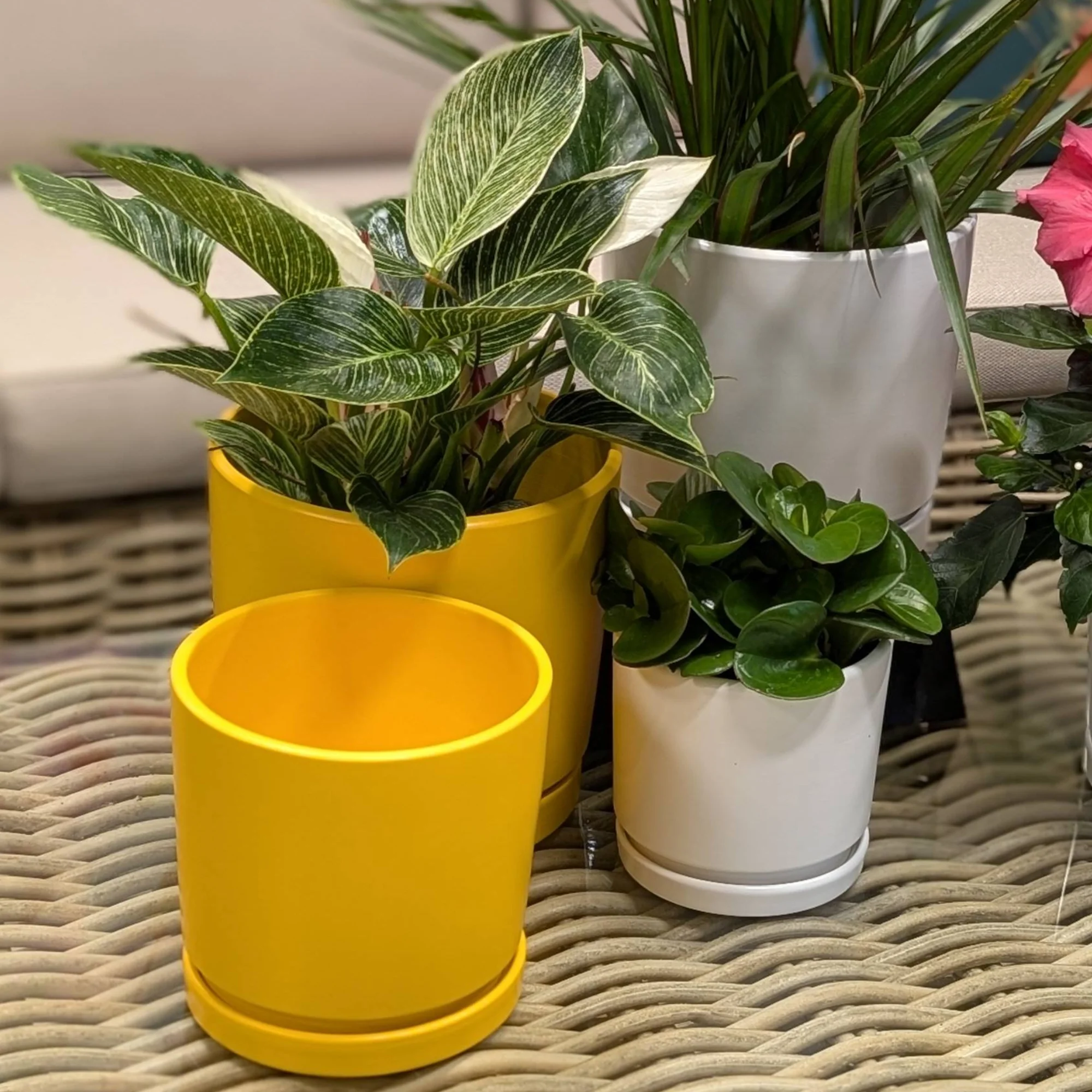 Collection Ruby - Cache-pot en céramique avec soucoupe - Image 6