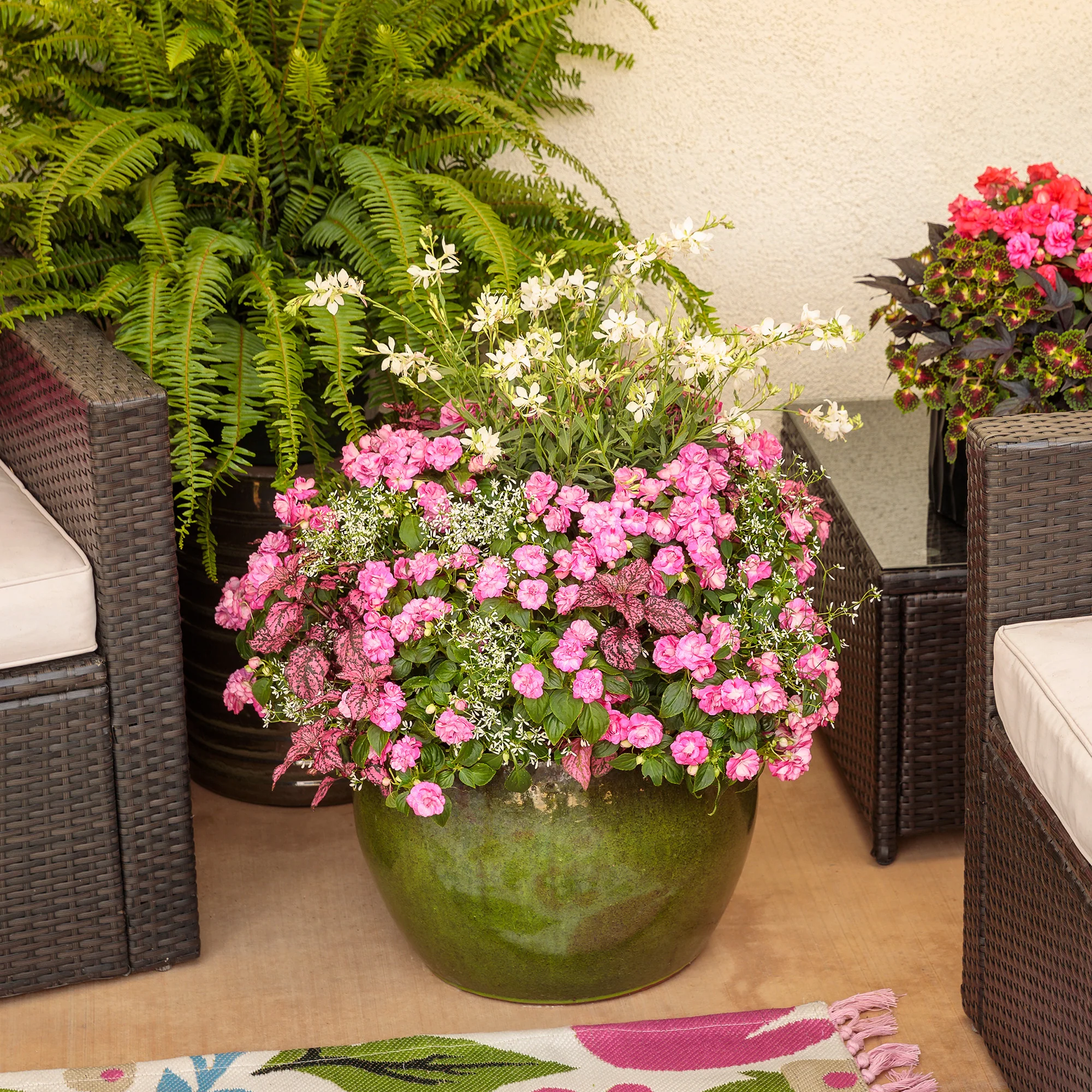 Gaura STRATOSPHERE™ White - Image 4