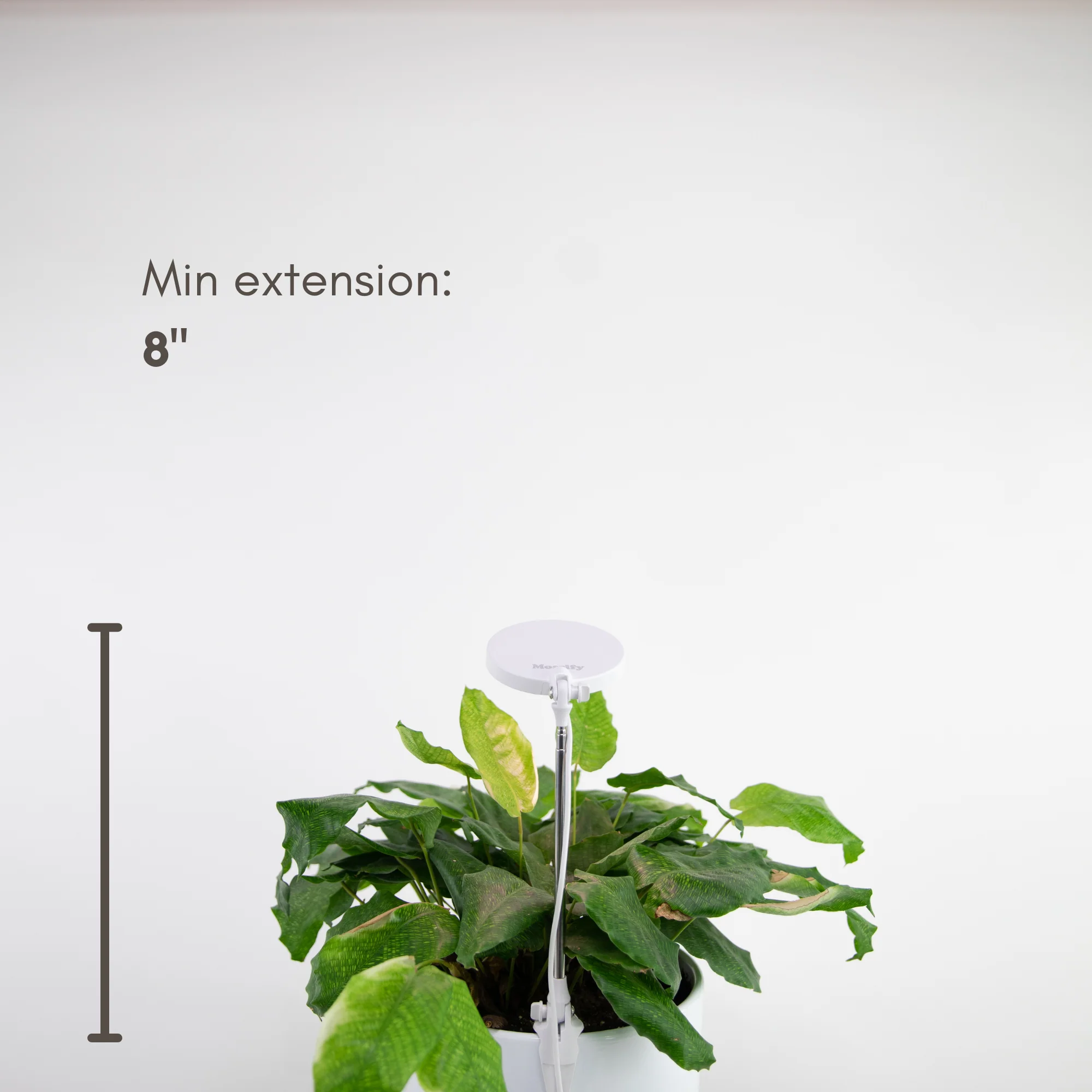 Lampe de croissance DEL ajustable pour plantes d'intérieur - Image 10