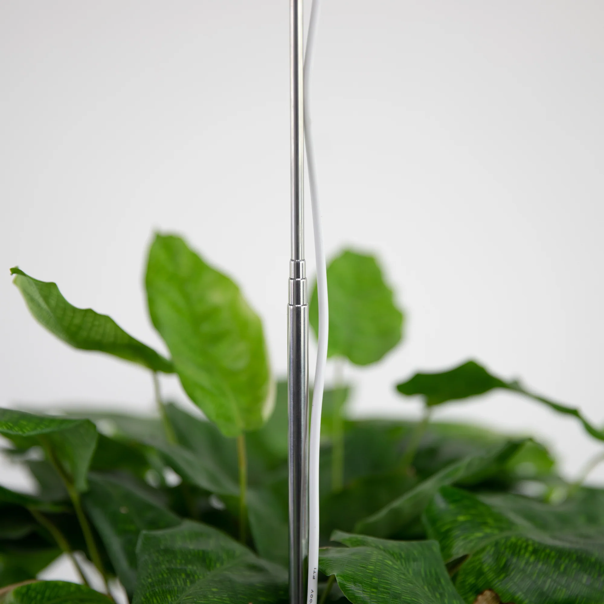 Lampe de croissance DEL ajustable pour plantes d'intérieur - Image 8