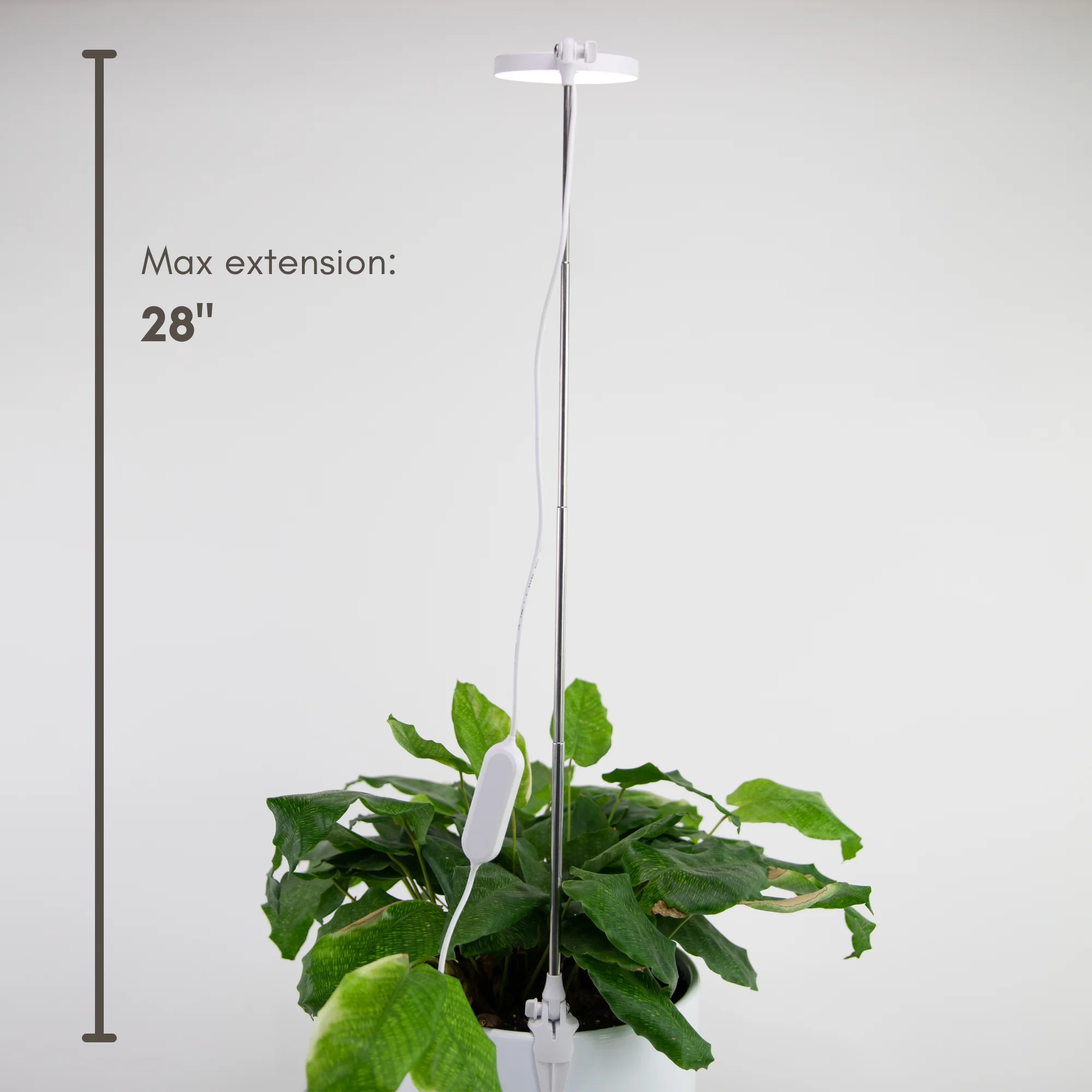 Lampe de croissance DEL ajustable pour plantes d'intérieur - Image 9