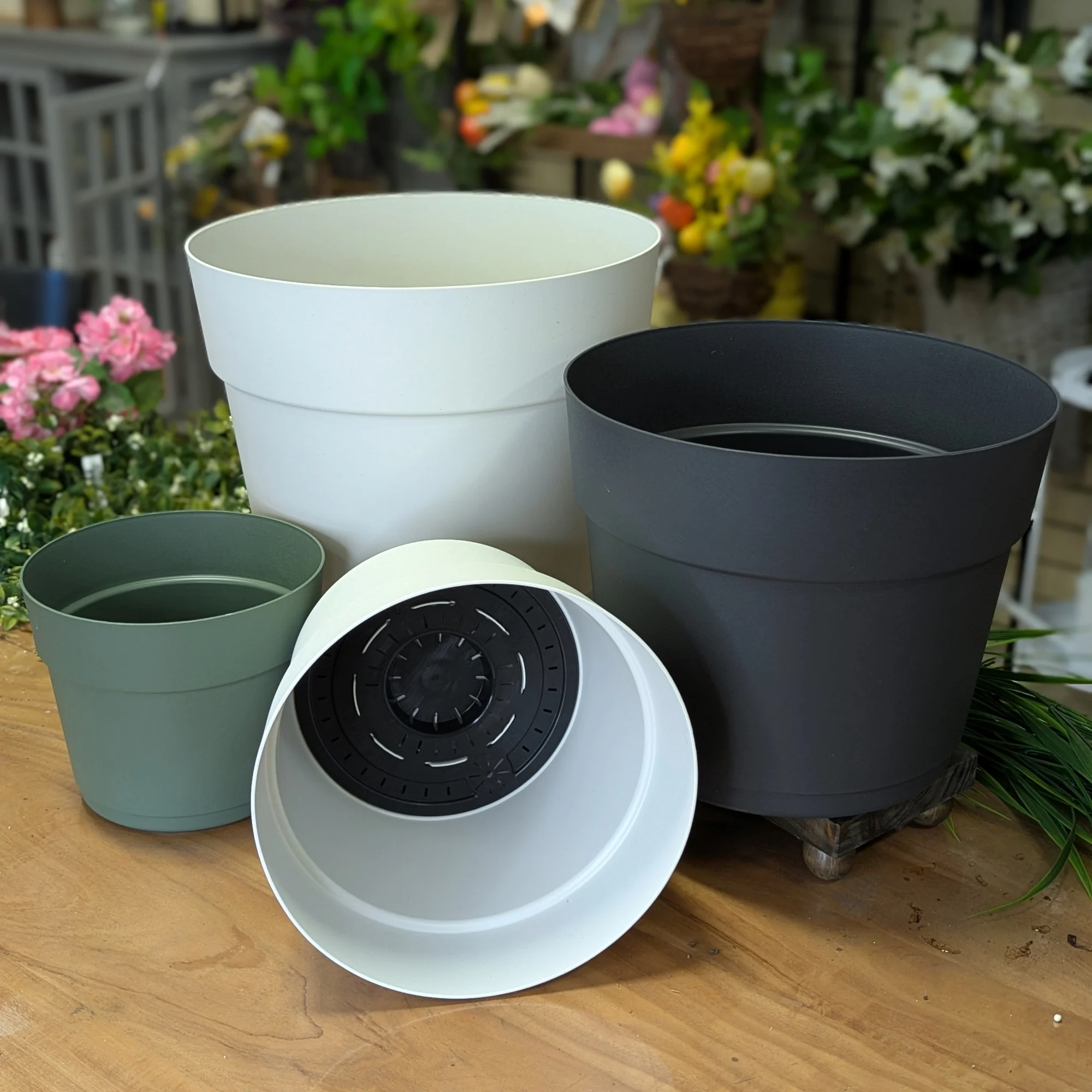 Pot Bloom Collection Tera - Image 3