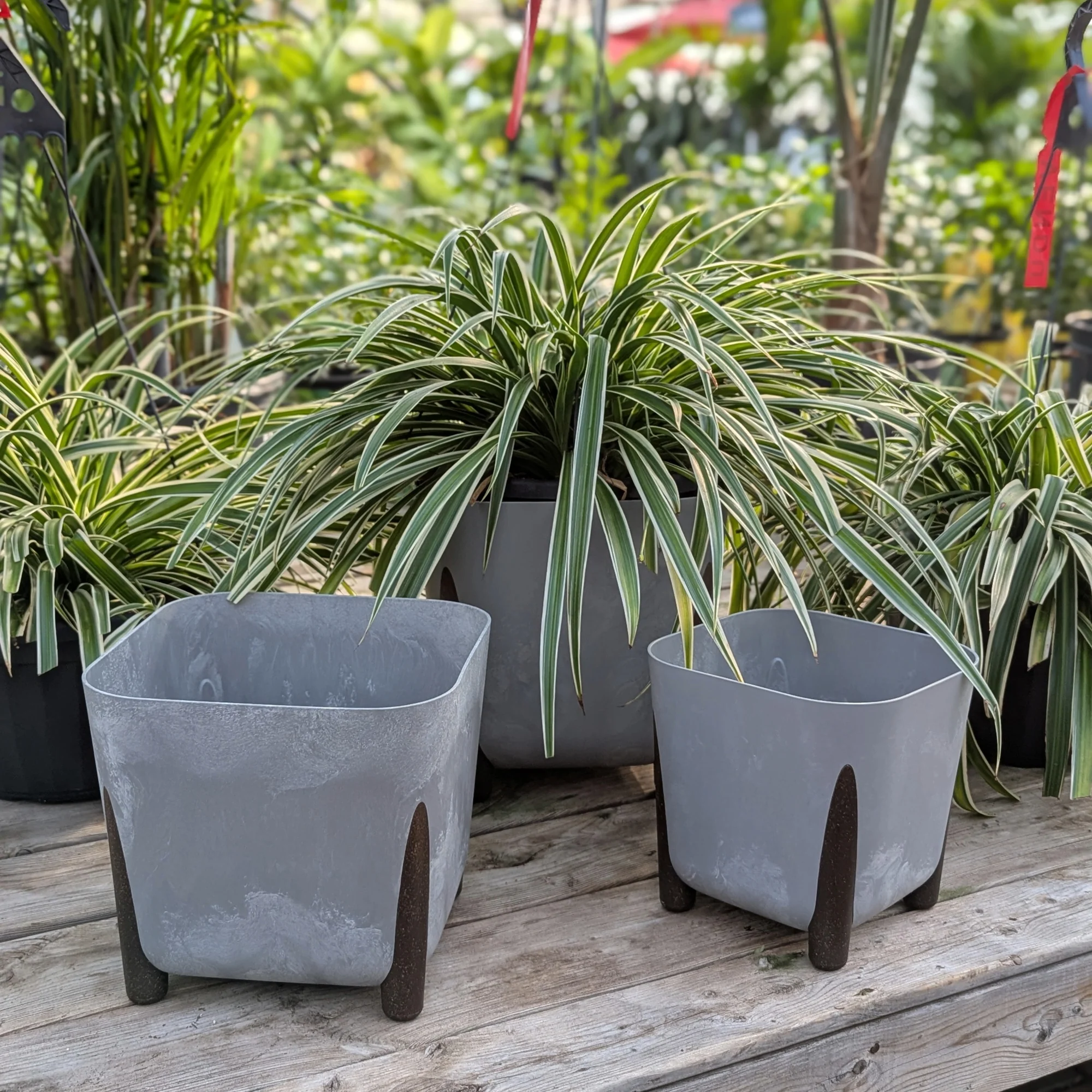 Pot Frida Eco Carré Effet Béton - Image 5