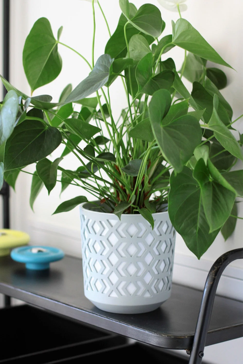 Pot de fleurs avec insertion - Collection Aztek - Image 4