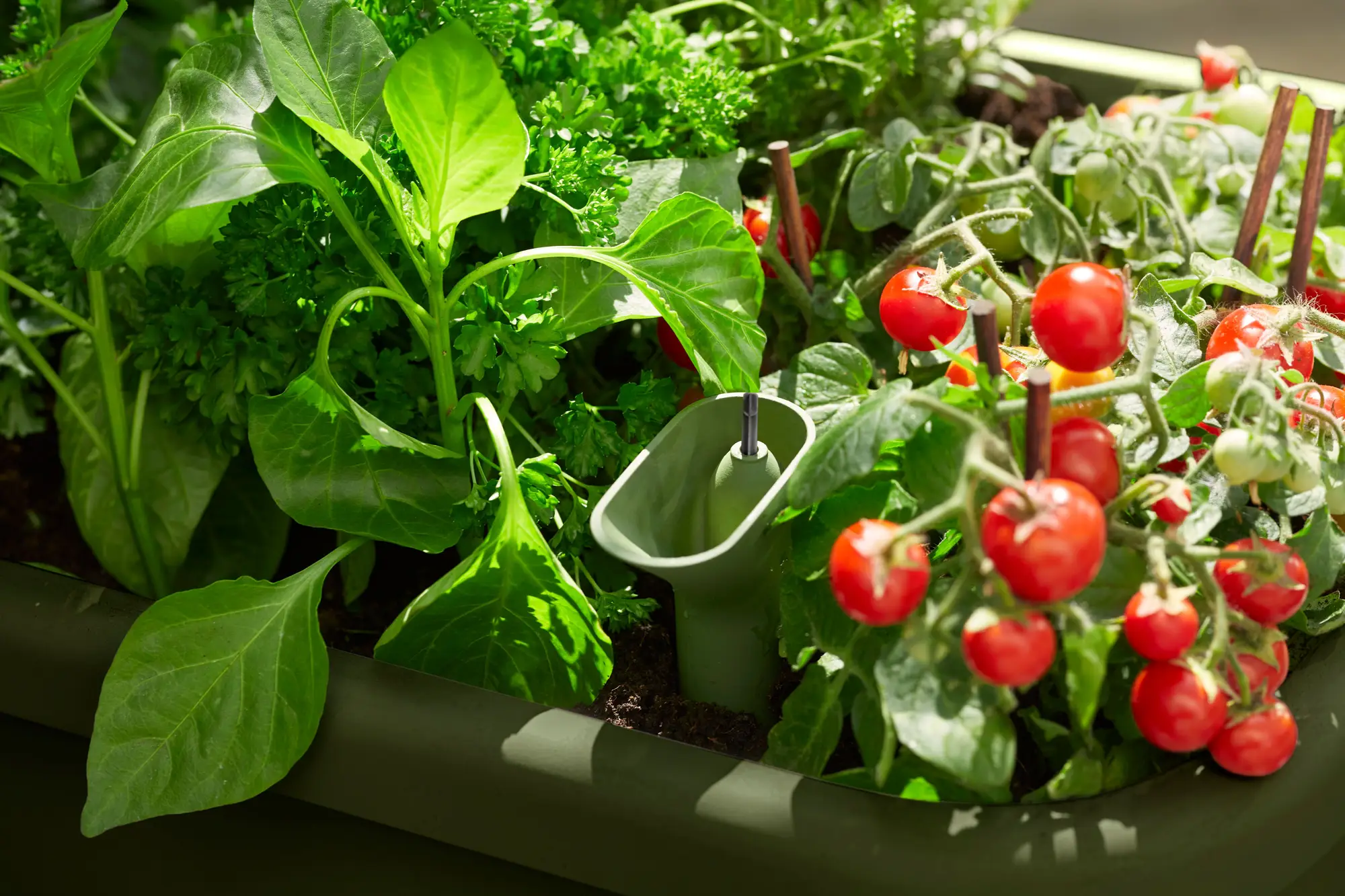 Table potagère Noa d'elho – Potager sur pieds avec réservoir et serre - Image 4