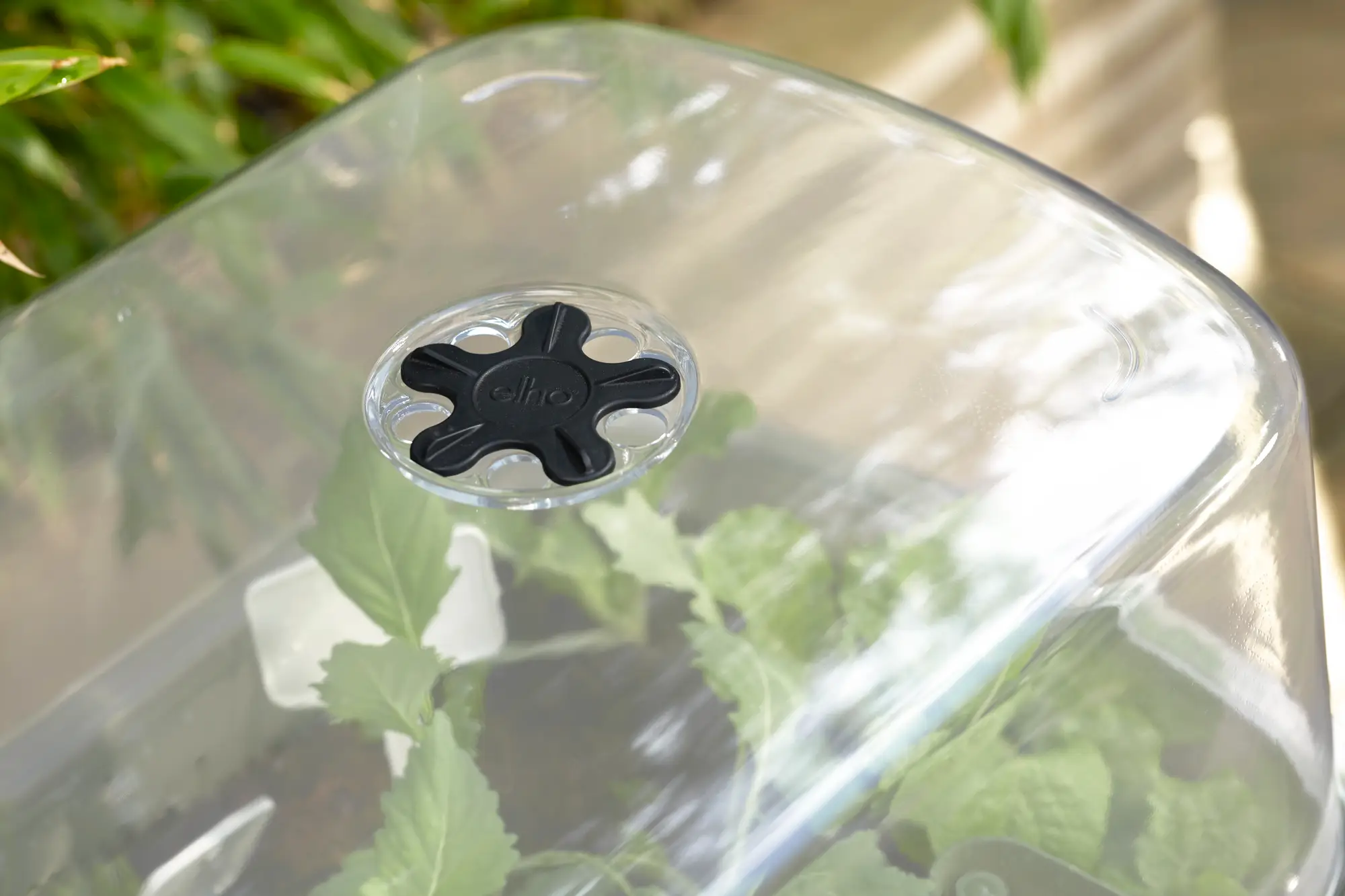 Table potagère Noa d'elho – Potager sur pieds avec réservoir et serre - Image 5