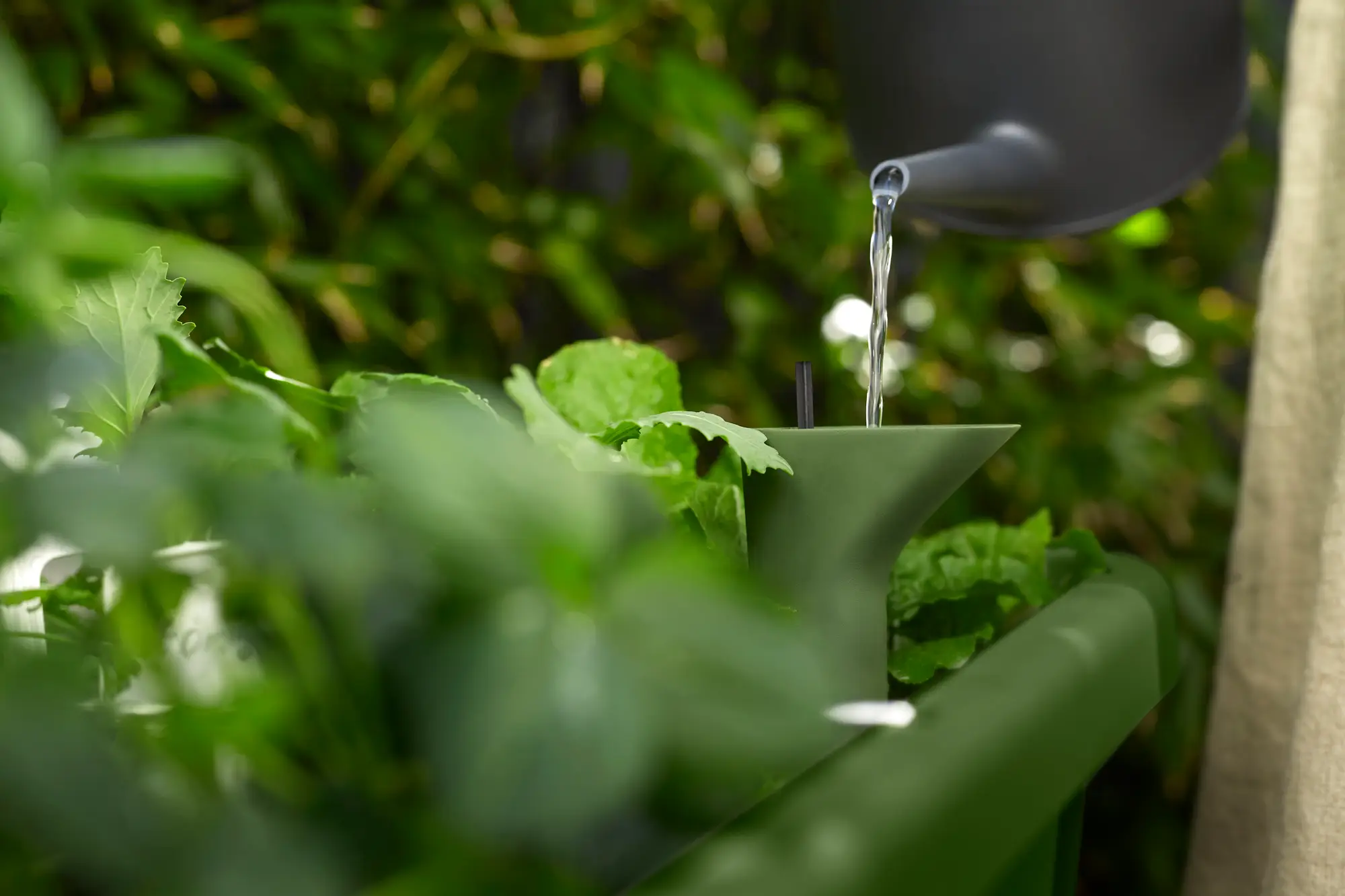 Table potagère Noa d'elho – Potager sur pieds avec réservoir et serre - Image 9